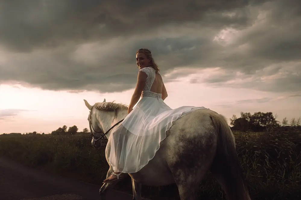 Bride riding into the sunset. White wedding dress, white horse. Wedding photo.
